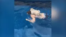 Questo cagnolino non ha bisogno di nuotare!