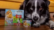 Ben & Jerry's gaan bevroren hondensnoepjes maken
