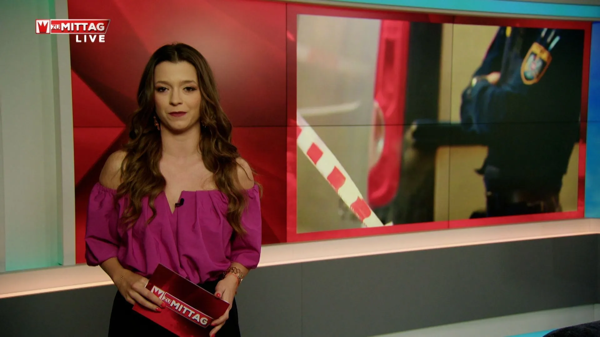 Fall Danylo, Violence in Everyday Life and Emergency Call in Vienna